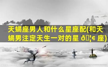 天蝎座男人和什么星座配(和天蝎男注定天生一对的星 🦢 座)